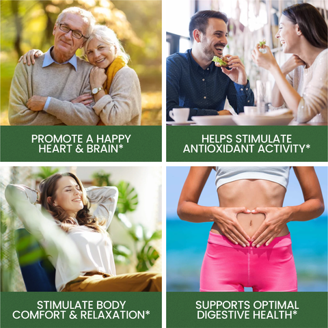 Image of Cinnamon Capsules 1200mg, Made With Organic Ceylon